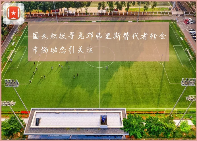 国米积极寻觅邓弗里斯替代者转会市场动态引关注
