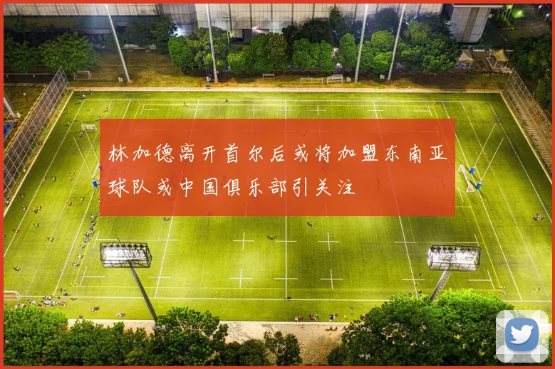 林加德离开首尔后或将加盟东南亚球队或中国俱乐部引关注